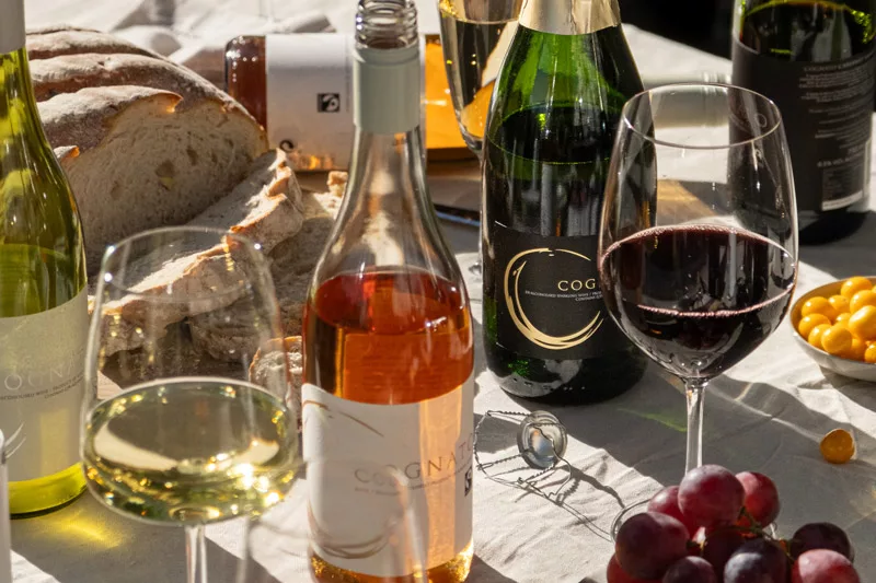 Cognato Distributors